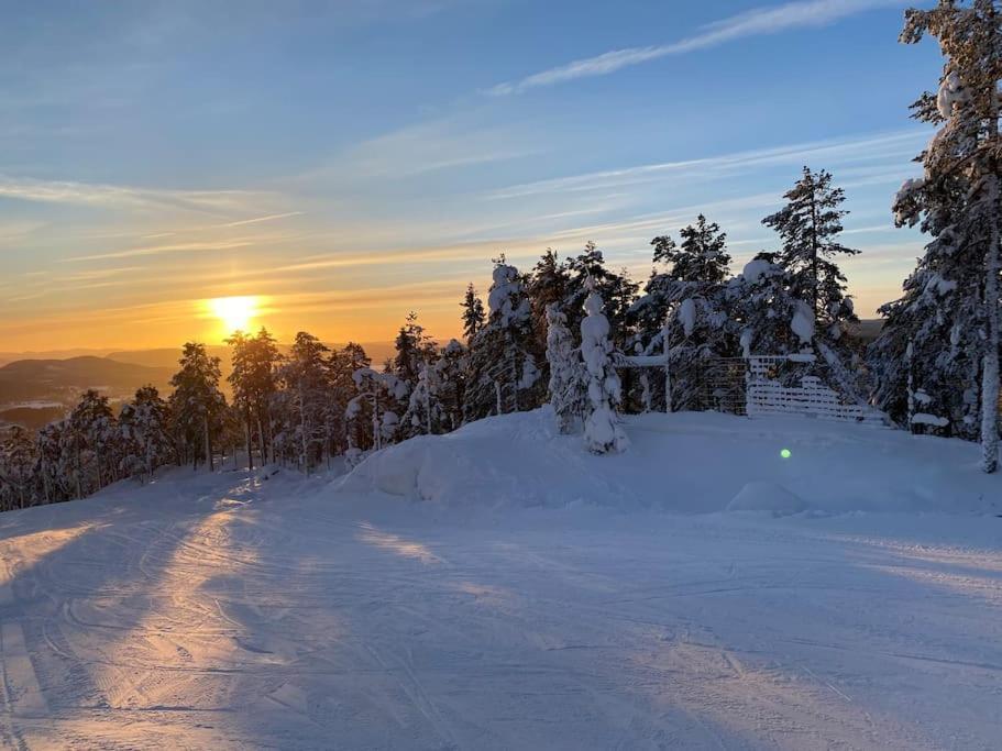 Modern Stuga Med Ski Lodge Kaensla Järvsö Exterior foto